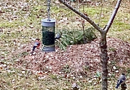 Готовимся к весенним субботникам!